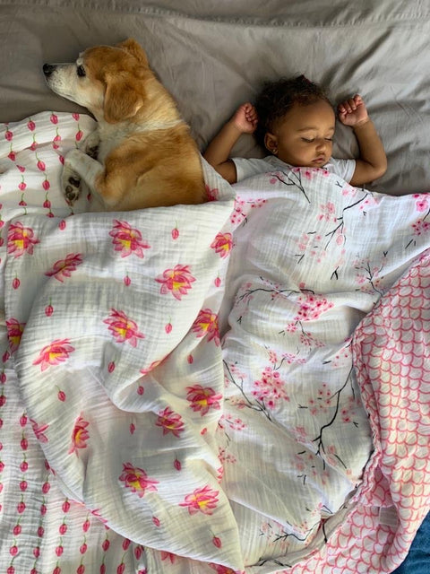 Malabar Baby - Bio-Kuscheldecke mit Lotus