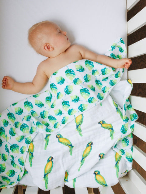 Malabar Baby - Bio-Kuscheldecke mit Papageien